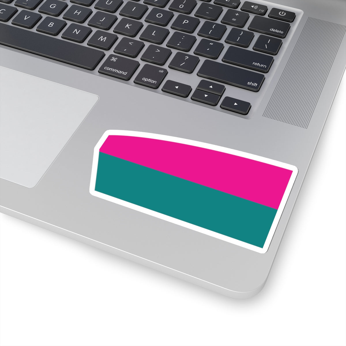 Tempe Scullers Sticker