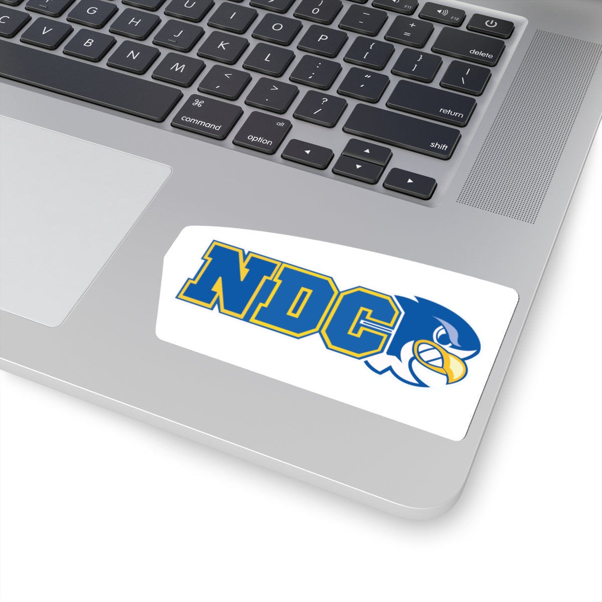 Notre Dame College Sticker