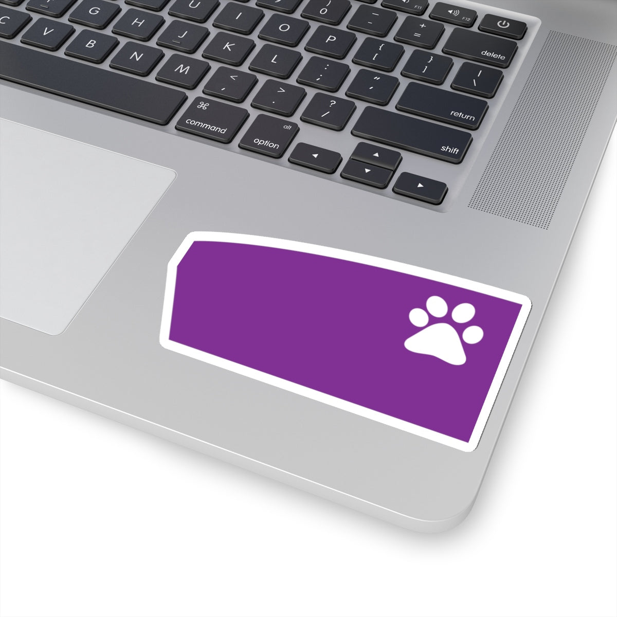 St.Catherine University Sticker