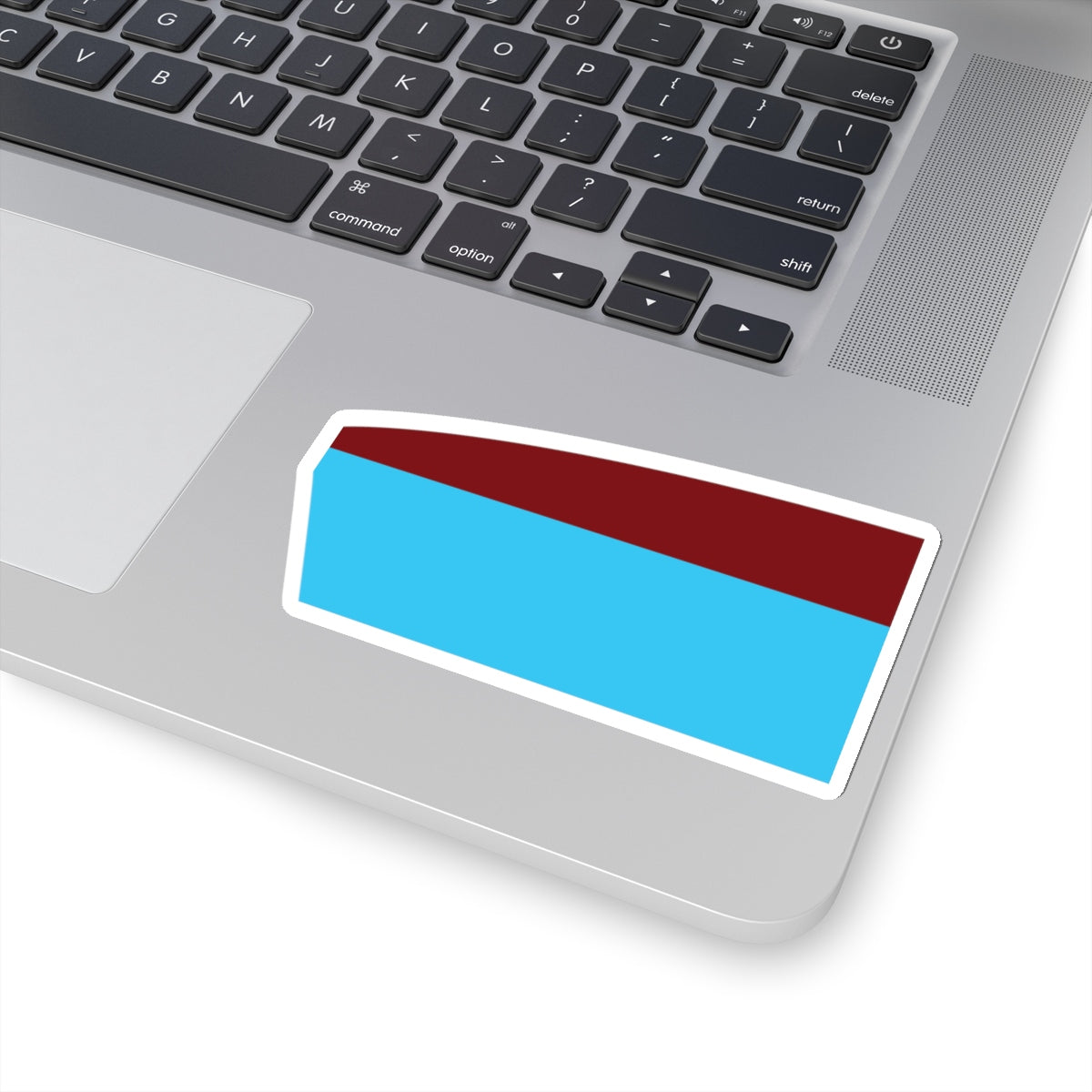 Lions Rowing Club Sticker