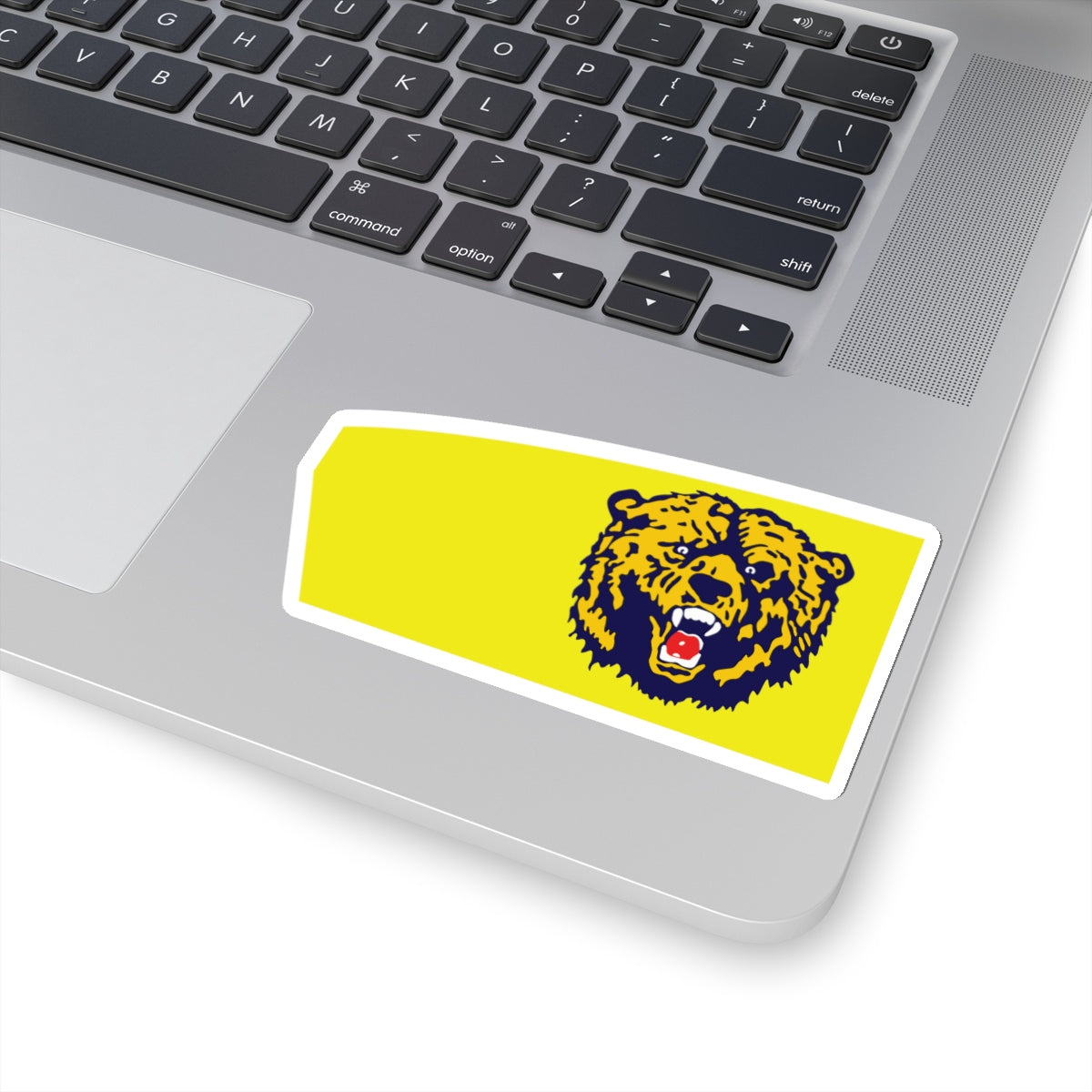 Theodore Roosevelt High School (starboard) Sticker