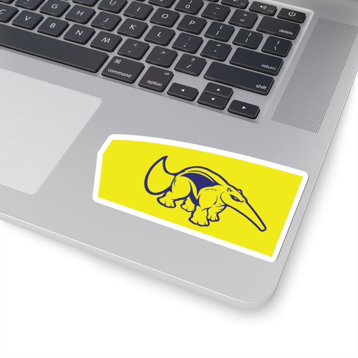 University of California-Irvine-Women Sticker