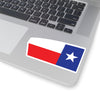 University of Texas-Club Sticker